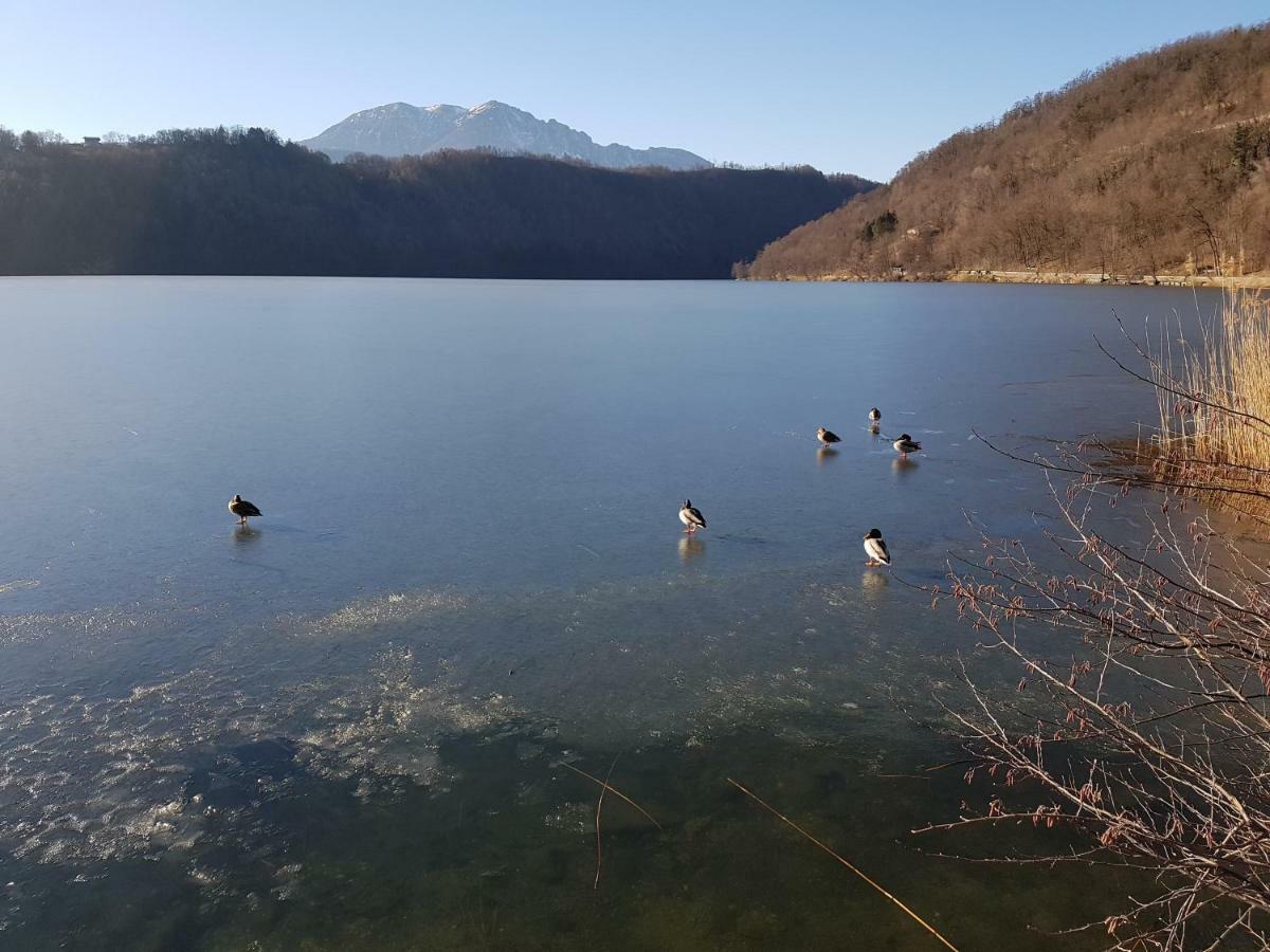Appartamento Nido Levico Terme Exteriör bild